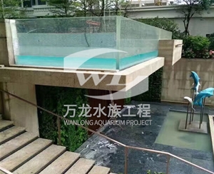 观赏鱼缸的过滤器使用特点