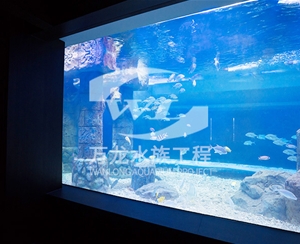 山东大型亚克力...