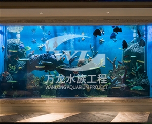 山东海底景观设计