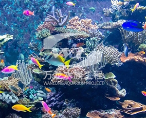 山东海底景观设计