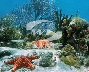 山东海底景观设计