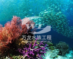 山东海底景观设计