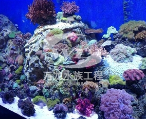 山东海底景观设计